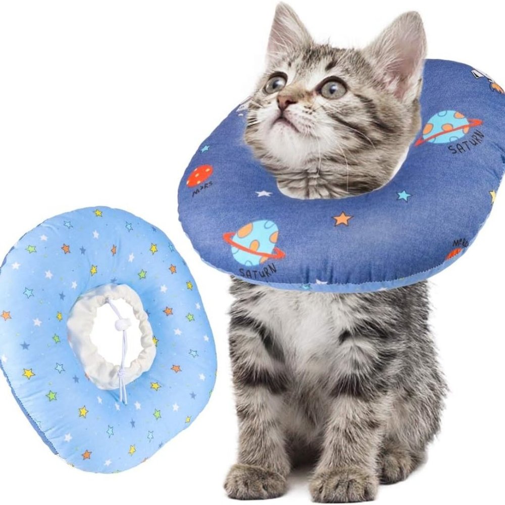 Cat Recovery Collar Size Medium- Cat not included 🐱 - Picture 2 of 6